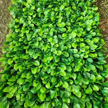 Jardín Vertical Hojas Grandes — Plantas Artificiales Colombia