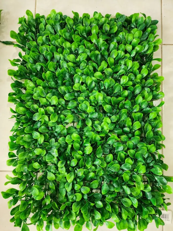 Jardín Vertical Hojas Grandes — foto 3
