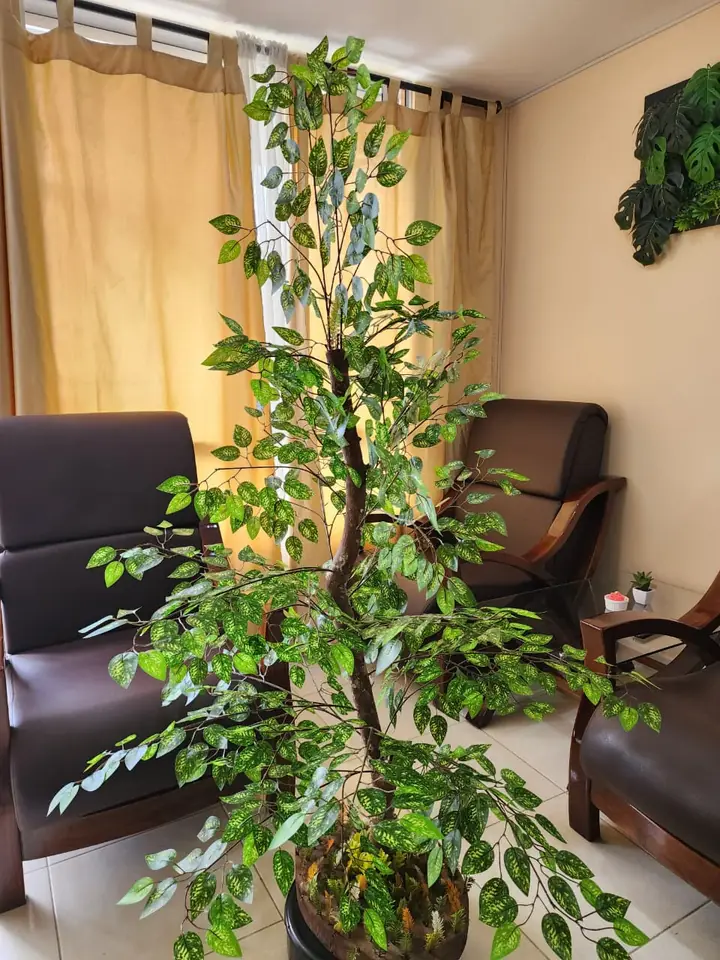 SUPER PRECIO: Árbol Artificial Ficus — foto 3
