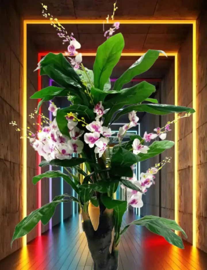 Árbol Orquídea Flor Blanca — foto 3
