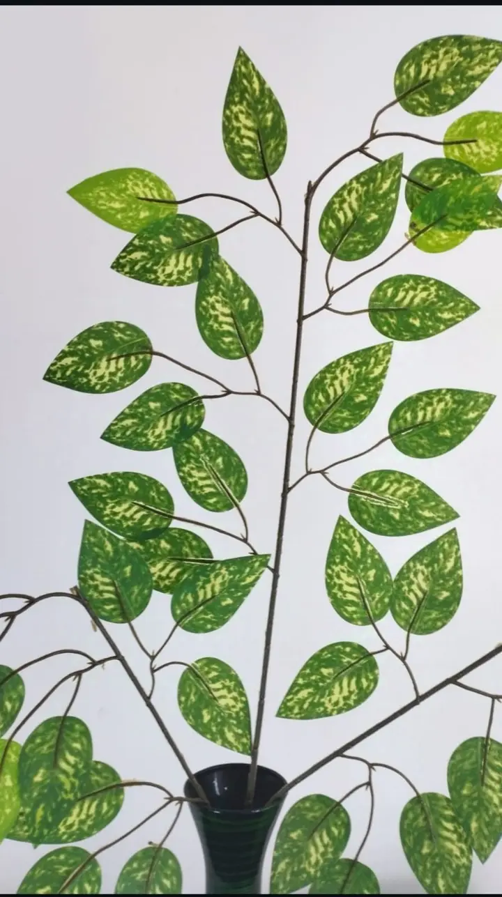 Follaje Artificial Ficus Puntos — Plantas Artificiales Colombia