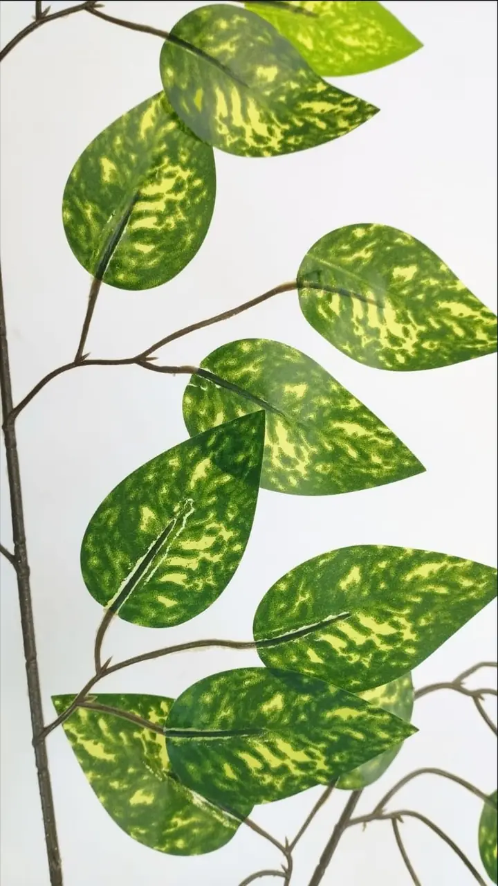 Follaje Artificial Ficus Puntos — foto 3