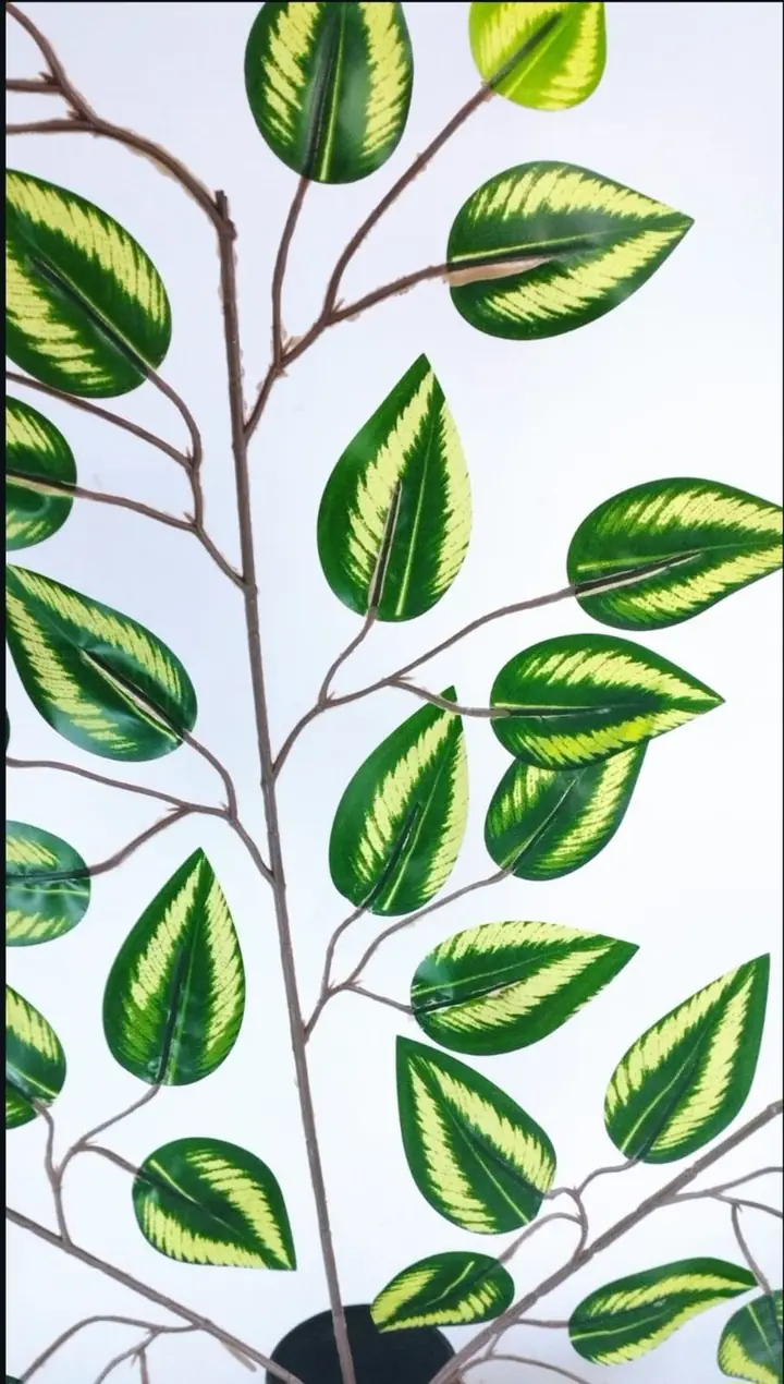 Follaje Artificial Ficus Mancha — foto 3