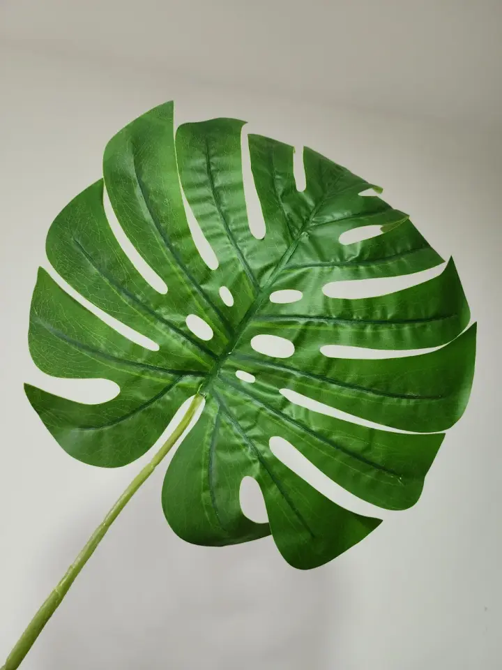 Hoja Artificial Balazo 70 cm — foto 2