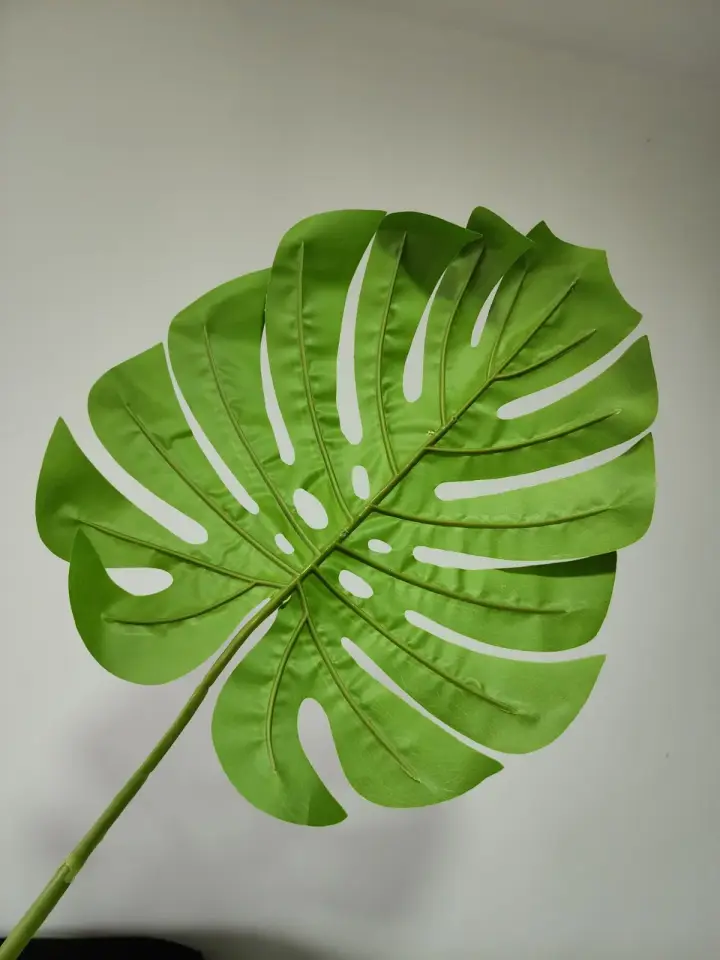 Hoja Artificial Balazo 70 cm — foto 3