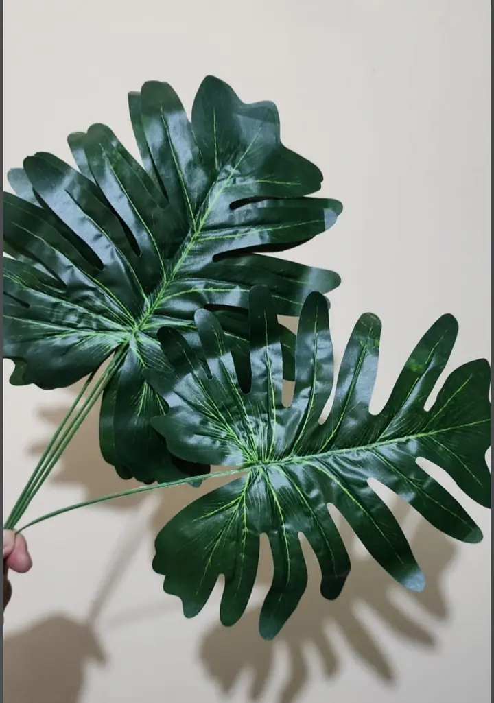 Hoja Artificial Monstera — foto 2