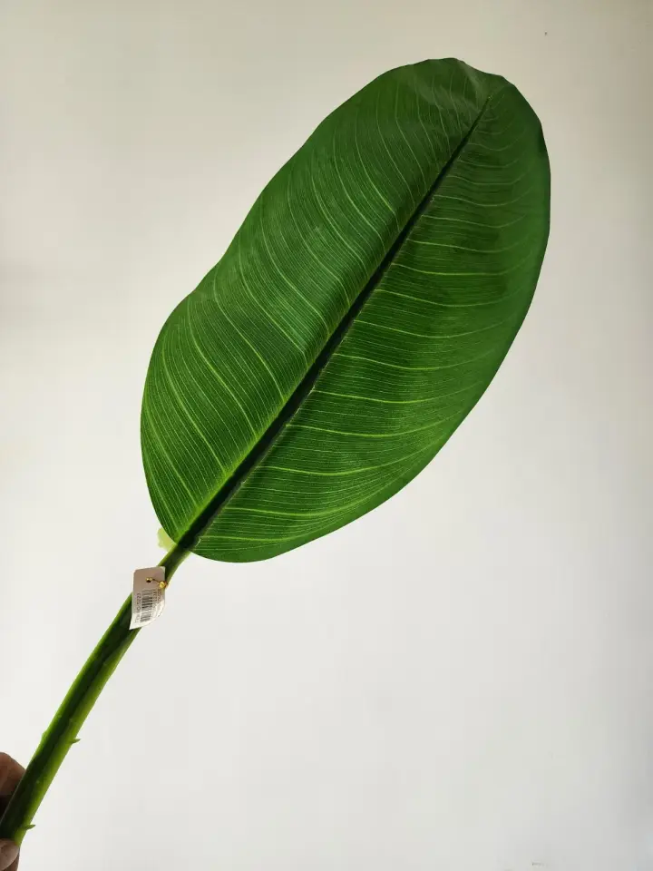 Hoja Platanilla Artificial S223 — foto 3