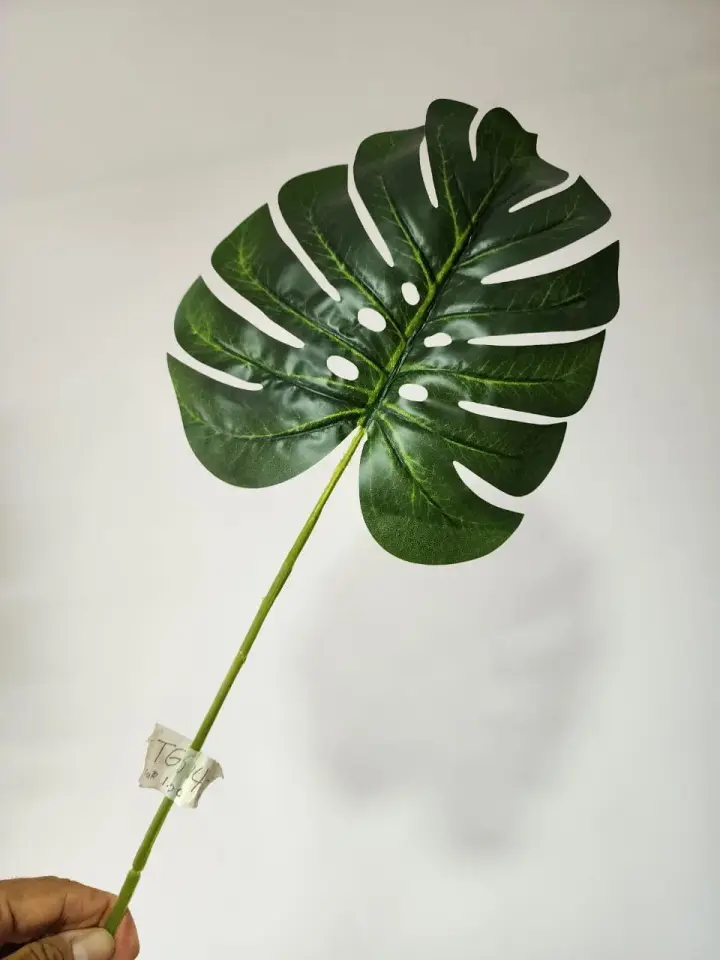Hoja Artificial Balazo 63 cm — foto 1