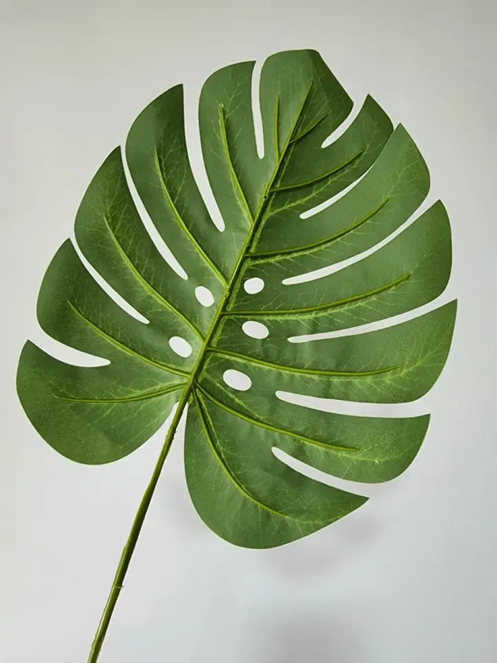 Hoja Artificial Balazo 63 cm — foto 3