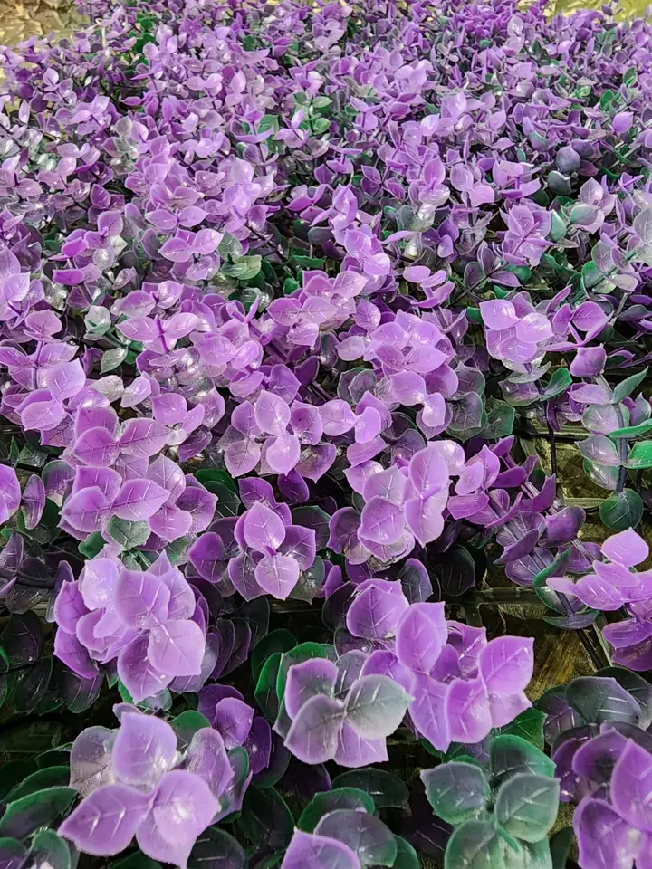 Jardín Vertical Colores — foto 3