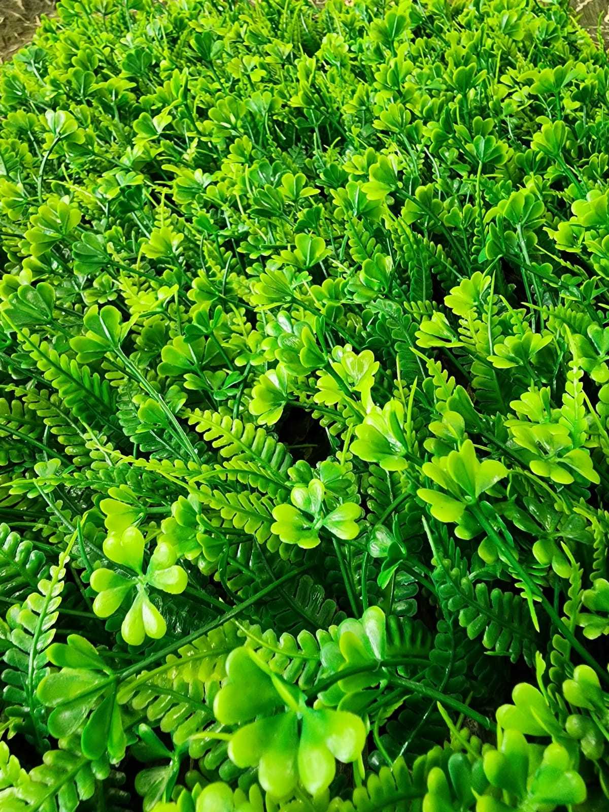 Jardín Vertical Follaje Variado