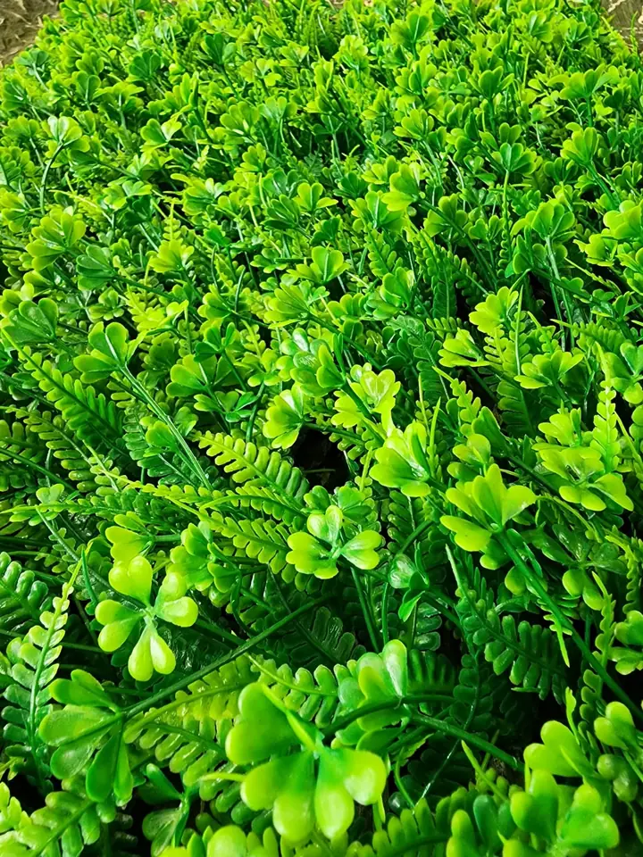 Jardines Verticales
