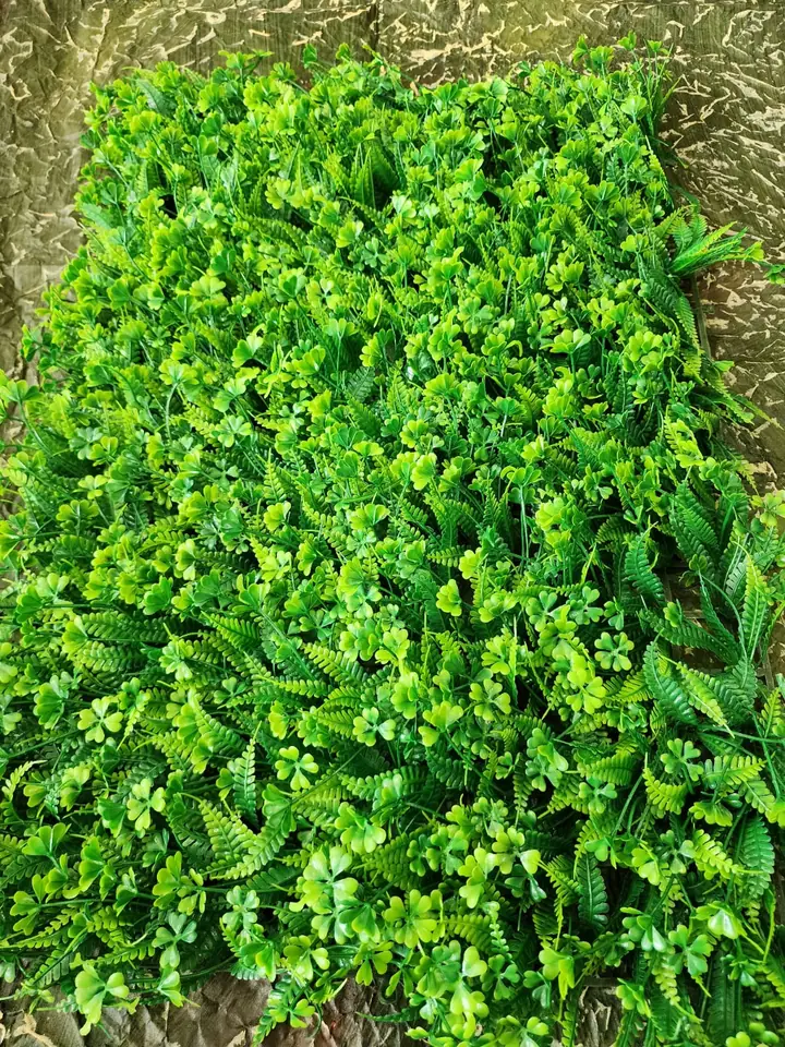 Jardín Vertical Follaje Variado — foto 2