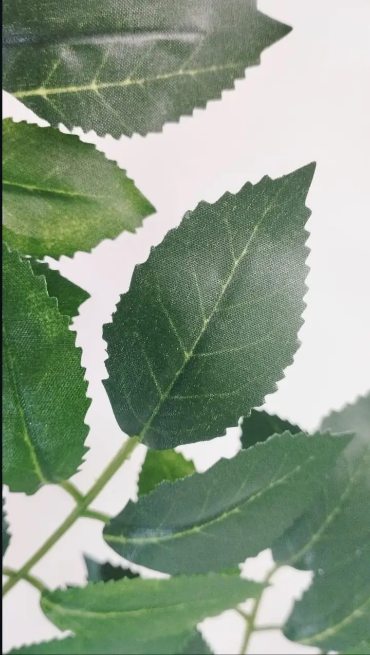 Follaje Artificial  Ficus Sierra — foto 2