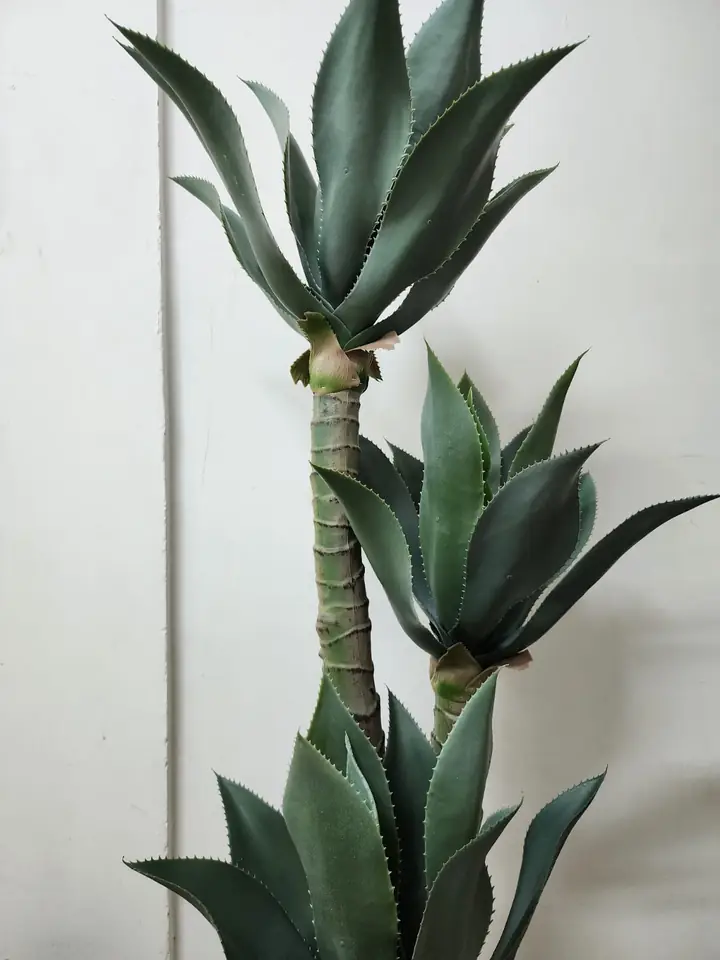 Planta Artificial Agave — foto 3