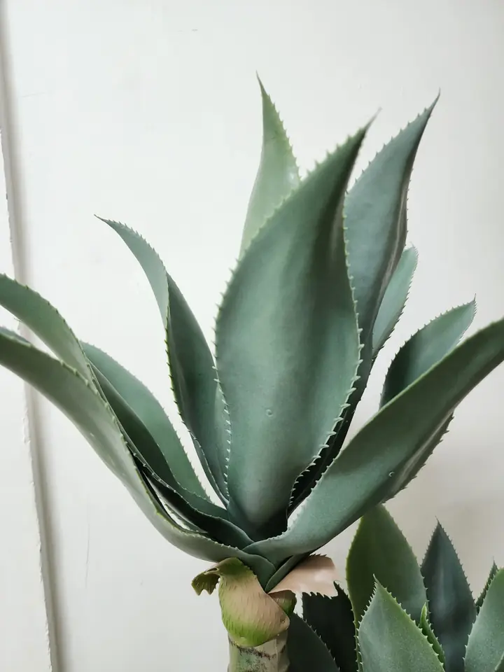 Planta Artificial Agave — foto 2
