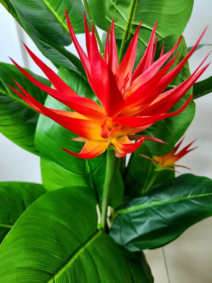 Planta Artificial de Ave del Paraíso — Plantas Artificiales Colombia