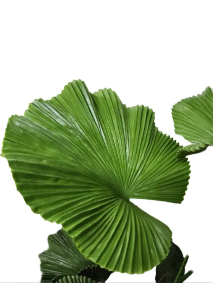 Planta Artificial Hoja Abanico — Plantas Artificiales Colombia
