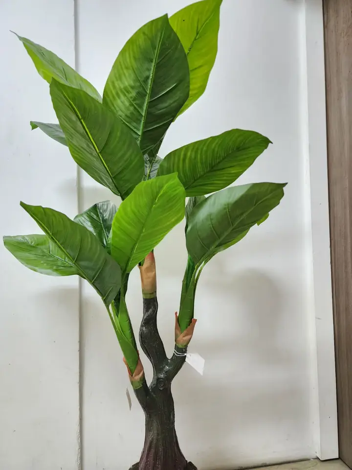 Planta Artificial  Hoja Platanilla — Plantas Artificiales Colombia