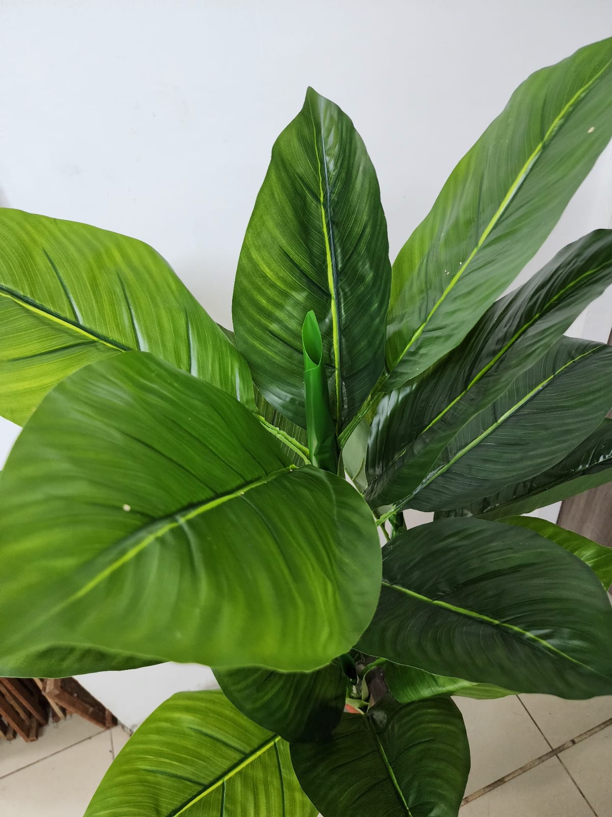 Planta Artificial Hoja Platanilla