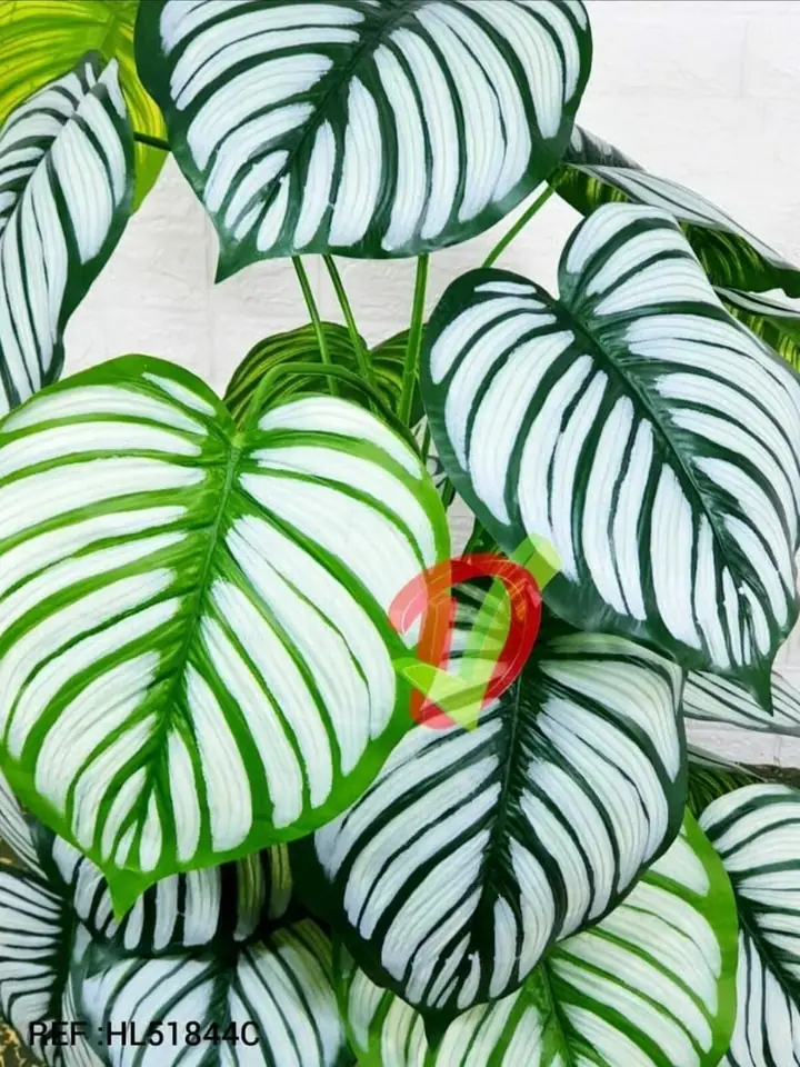Planta Artificial Hoja Rayas — foto 2