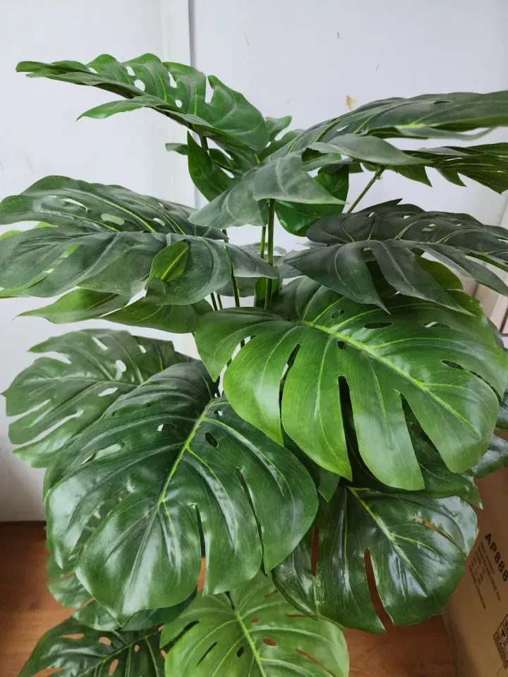 Planta Artificial Monstera 1.30 — foto 1