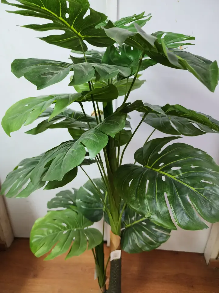 Planta Artificial Monstera 1.30 — foto 3