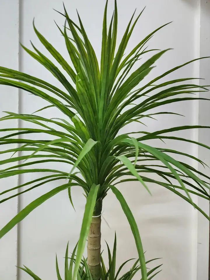 Planta Artificial Yuca Dracena — Plantas Artificiales Colombia