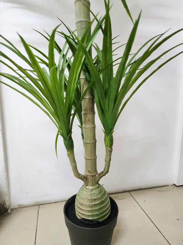 Planta Artificial Yuca Dracena — foto 3