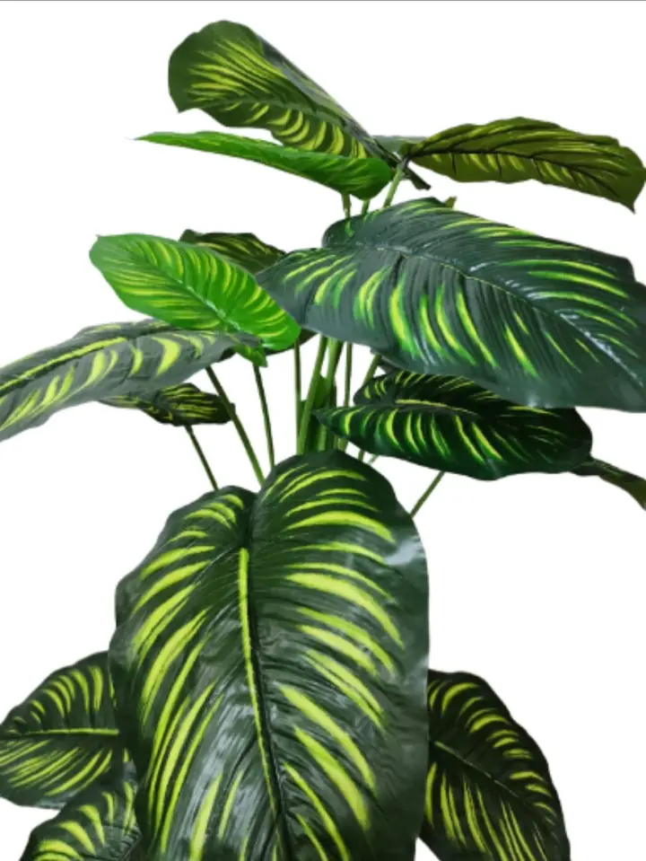 Plantas de Piso